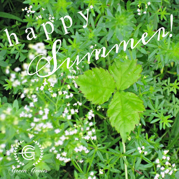 Happy Summer from Green Genies!