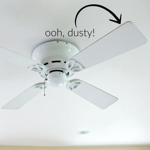Tidy Tip Tuesday: Don't forget the fans!