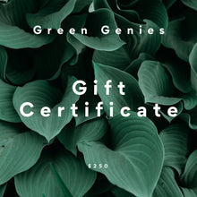 Green Genies Gift Certificate